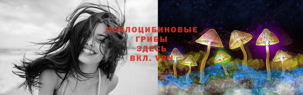 твердый Абаза