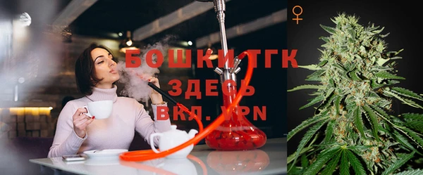 твердый Абаза