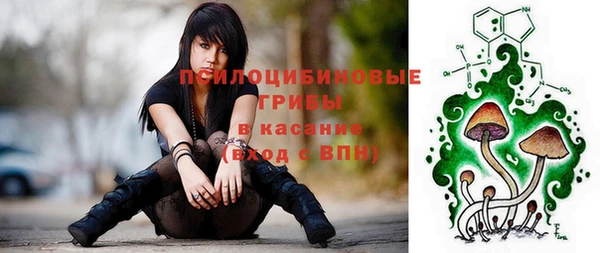 твердый Абаза