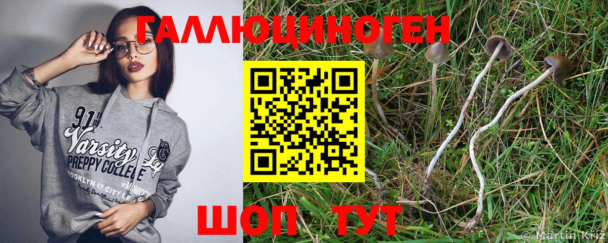 Галлюциногенные грибы Magic Shrooms  Вход с VPN  купить  сайты  Псилоцибиновые грибы Psilocybine cubensis  Сокол 